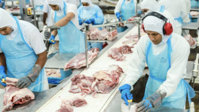 suinocultura e avicultura